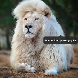 Meet your Posher, Shon